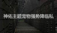 神佑主题宠物强势降临私服奇迹4月更新亮点抢先看