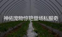 神佑宠物惊艳登场私服奇迹4月版本更新带来全新玩法