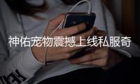 神佑宠物震撼上线私服奇迹四月版本更新全知道