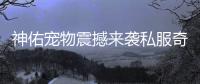 神佑宠物震撼来袭私服奇迹4月更新内容抢先了解