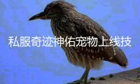 私服奇迹神佑宠物上线技能加成效果全解析