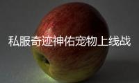 私服奇迹神佑宠物上线战力加成效果全面分析