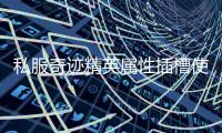 私服奇迹精英属性插槽使用心得助你轻松应对各种战斗挑战