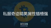 私服奇迹精英属性插槽强化技巧提升角色战斗稳定性
