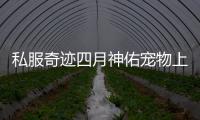 私服奇迹四月神佑宠物上线技能属性全面解析