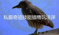私服奇迹技能插槽玩法详解打造专属技能组合
