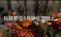 私服奇迹4月神佑宠物上线技能效果深度解析