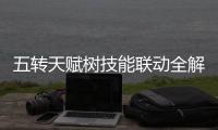 五转天赋树技能联动全解析私服奇迹中的连招奥秘