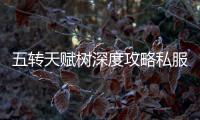五转天赋树深度攻略私服中那些不为人知的细节技巧