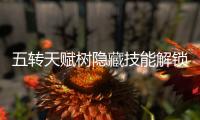 五转天赋树隐藏技能解锁揭秘私服中的稀有加成效果