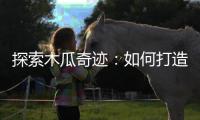 探索木瓜奇迹：如何打造属于你的强力法师队伍