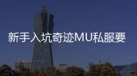 新手入坑奇迹MU私服要选什么区？装备怎么选？