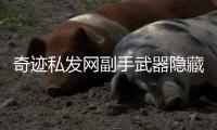 奇迹私发网副手武器隐藏在角落里的神器