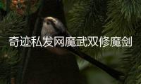 奇迹私发网魔武双修魔剑士技能加点选择
