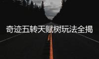 奇迹五转天赋树玩法全揭秘私服中不可错过的加点技巧