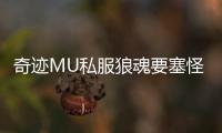 奇迹MU私服狼魂要塞怪物分布图解析