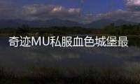 奇迹MU私服血色城堡最强职业推荐与搭配