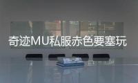 奇迹MU私服赤色要塞玩家解析职业搭配与战术选择