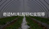 奇迹MU私服轻松实现等级飙升的隐藏技巧
