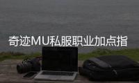奇迹MU私服职业加点指南