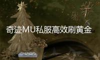 奇迹MU私服高效刷黄金怪的实战经验