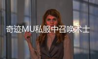 奇迹MU私服中召唤术士的成长路径与装备选择指南