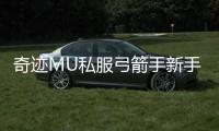 奇迹MU私服弓箭手新手入门指南从零开始玩转远程攻击