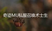 奇迹MU私服召唤术士生存能力提升技巧：魔法与防御的平衡