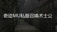 奇迹MU私服召唤术士公会战中的战术价值与作用