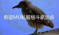 奇迹MU私服格斗家加点策略大公开轻松打造最强角色