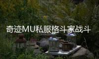 奇迹MU私服格斗家战斗风格分析适合哪种玩家