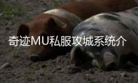 奇迹MU私服攻城系统介绍