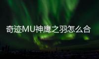 奇迹MU神鹰之羽怎么合成