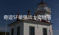奇迹SF最强战士宠物搭配与协同作战技巧