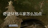 奇迹SF格斗家怎么加点