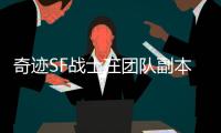 奇迹SF战士在团队副本中的核心地位与作用