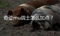 奇迹mu战士怎么加点？