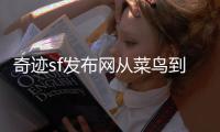 奇迹sf发布网从菜鸟到高手的成长全过程解析