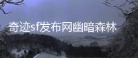 奇迹sf发布网幽暗森林中神秘符文的破解之道
