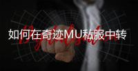 如何在奇迹MU私服中转职角色