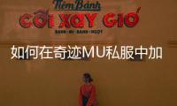 如何在奇迹MU私服中加点各职业