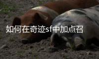 如何在奇迹sf中加点召唤师技能