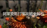 阿莱克斯打宝攻略全解析